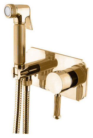 Гигиенический душ CEZARES OLIMP-DIF-03/24 золото