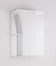 Зеркальный шкаф Style Line Эко стандарт Виола 50 С с подсветкой Белый глянец