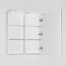 Зеркальный шкаф Style Line Жасмин 2 60 С Люкс с подсветкой Белый глянец